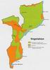 mozambique_veg_1973.jpg