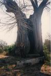 Mozambico0049.JPG