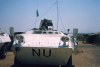 File0018small.jpg