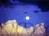 luna.jpg
