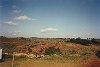 Mozambico0082_small.jpg