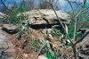 Image-59bis_small.jpg