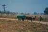 Image-62bis_small.jpg