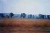 Caretti_paesaggio1_small.jpg