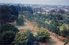 Caretti_zimbabwe2_small.jpg