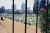 Caretti_cricket_small.jpg