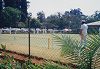 Caretti_cricket2_small.jpg