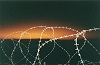 Delau_tramonto.jpg