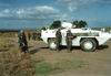 lattarulo_56_small.jpg