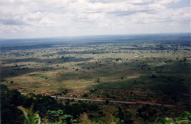 Image-53.jpg