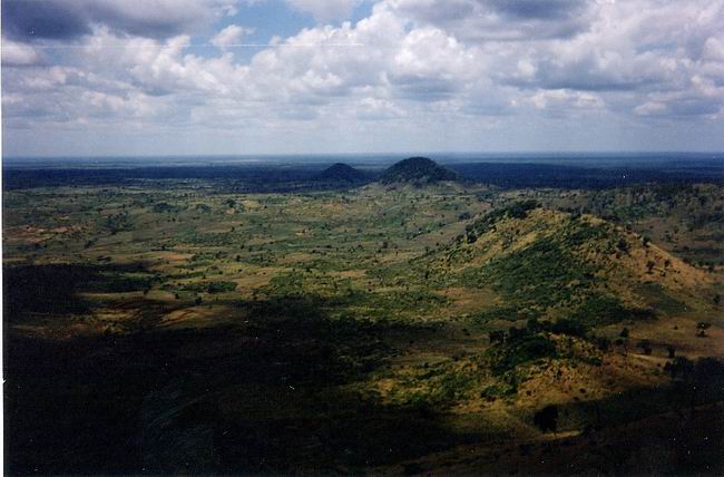Image-54.jpg