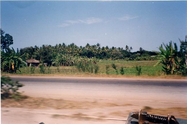 Image-55.jpg