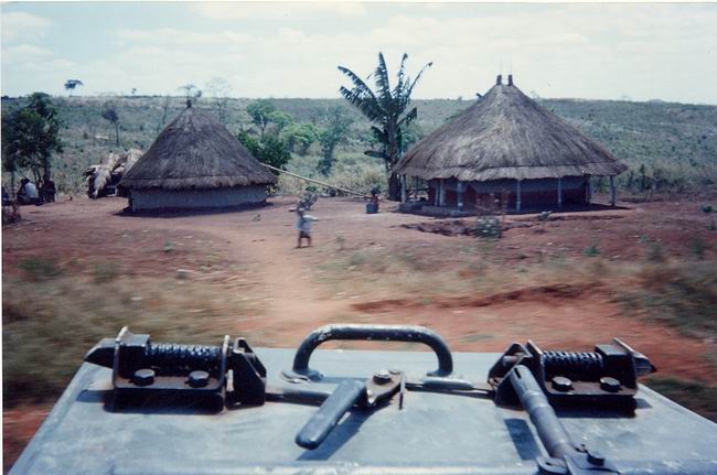 Image-56.jpg