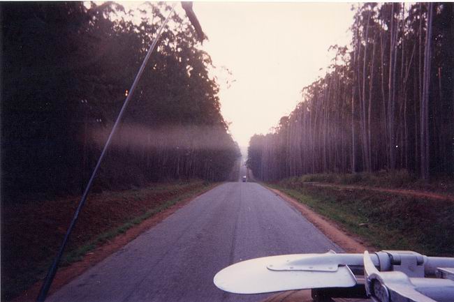 Image-64.jpg