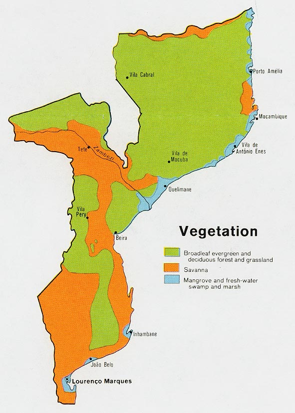 mozambique_veg_1973.jpg