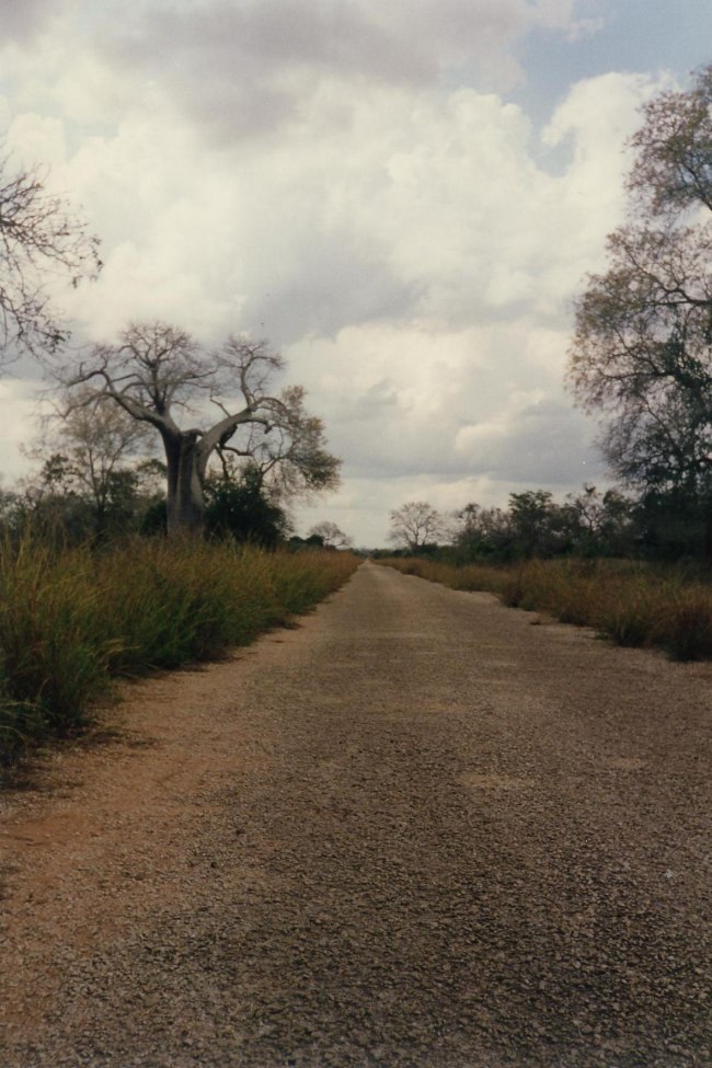 Mozambico0073.JPG