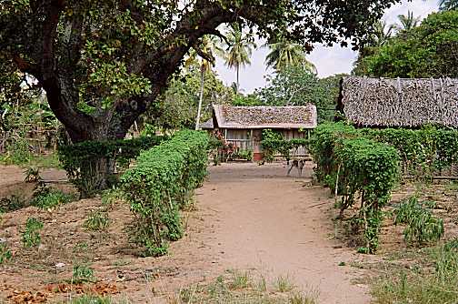 P040144.jpg