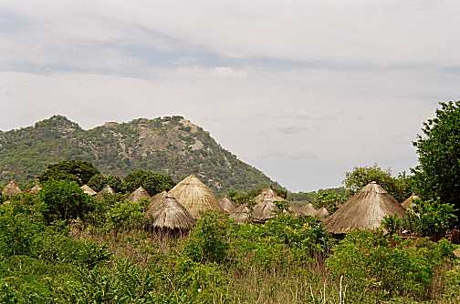 P040205.jpg