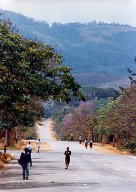 zimbabwe4.jpg