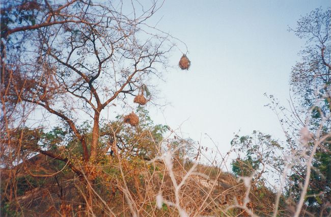 Image-59_small.jpg