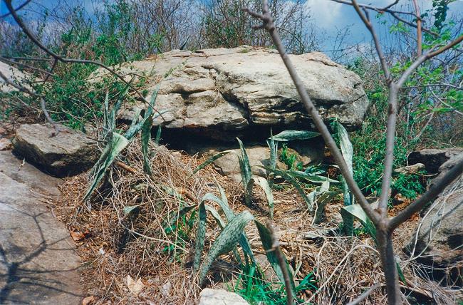 Image-59bis_small.jpg