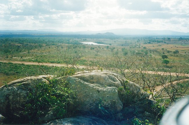 Image-61bis_small.jpg