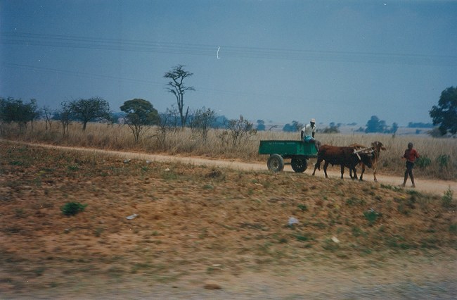 Image-62bis_small.jpg
