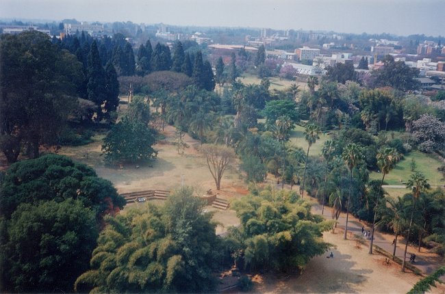 Caretti_zimbabwe2_small.jpg