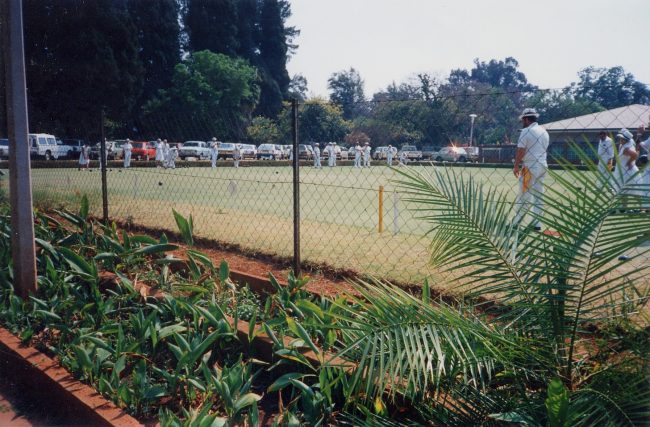 Caretti_cricket2_small.jpg