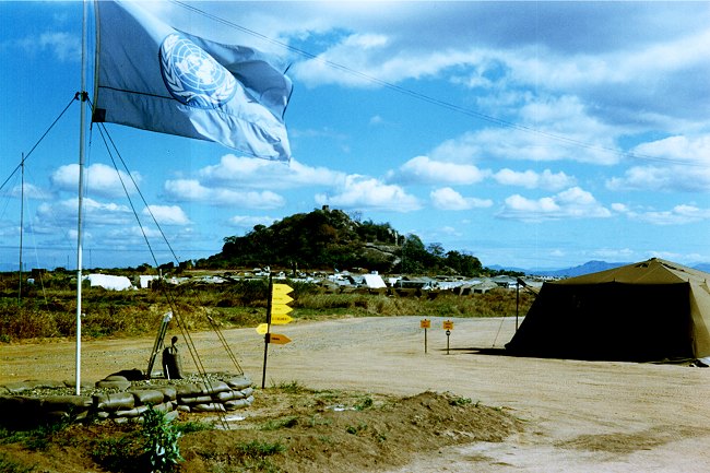 sina_116_small.jpg