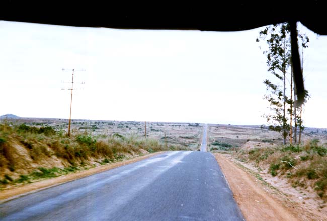 sina_119_small.jpg