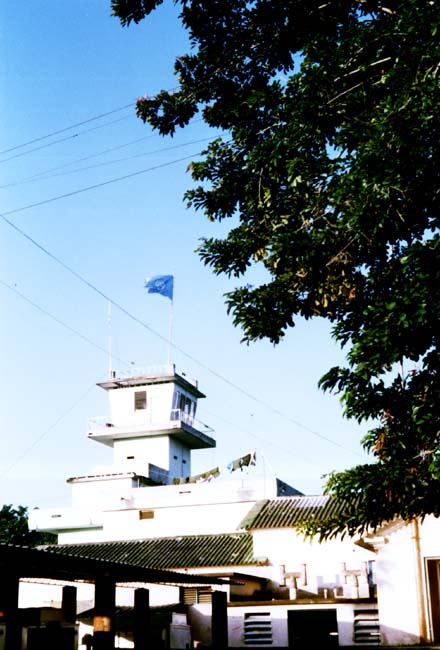 sina_60_small.jpg