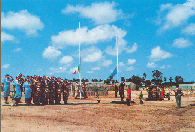 albatros2adunata.jpg