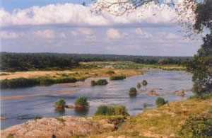 mozambique_river_save.jpg