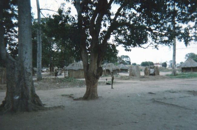 lattarulo_nhamatanda.jpg