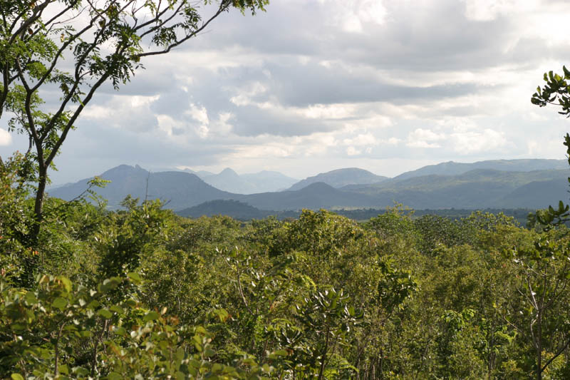 confineconzimbabwe2.jpg