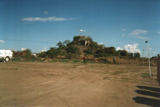 lattarulo_36_small.jpg