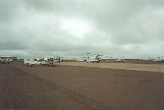 lattarulo_38_small.jpg