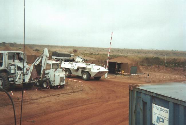lattarulo_40_small.jpg