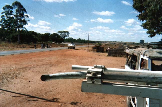lattarulo_46_small.jpg