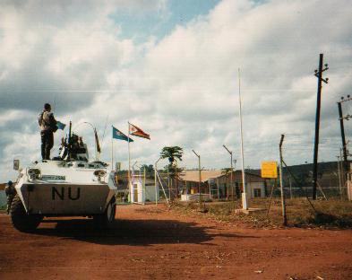 maforga2.jpg