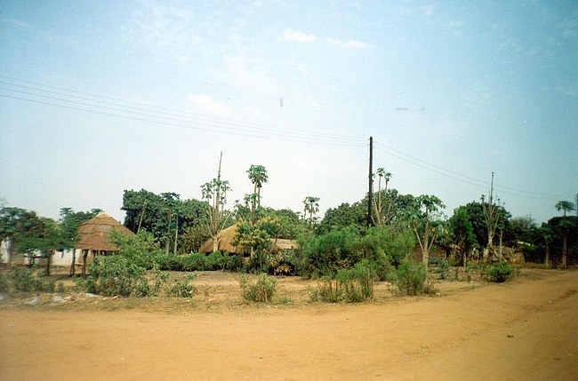 palma_fuoriaccampamento.jpg