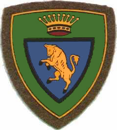 ana-parma_brigata-taurinense_scudetto.jpg