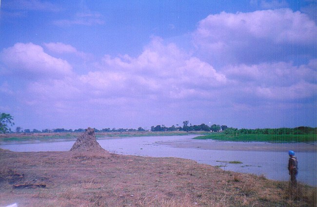 mansone_zambesi.jpg