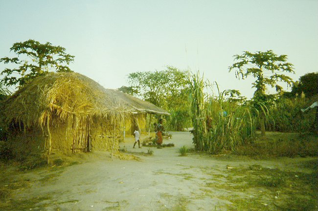 corona_capanna_small.jpg